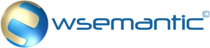 Logo Wsemantic